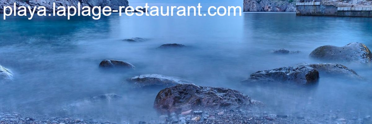 playa.laplage-restaurant.com